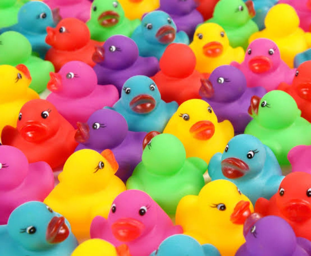Lucky Ducks (fairy garden style)