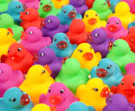 Lucky Ducks (fairy garden style)