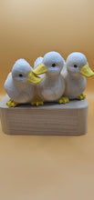 Load image into Gallery viewer, Duck Trio Planter 17 x 10 cm
