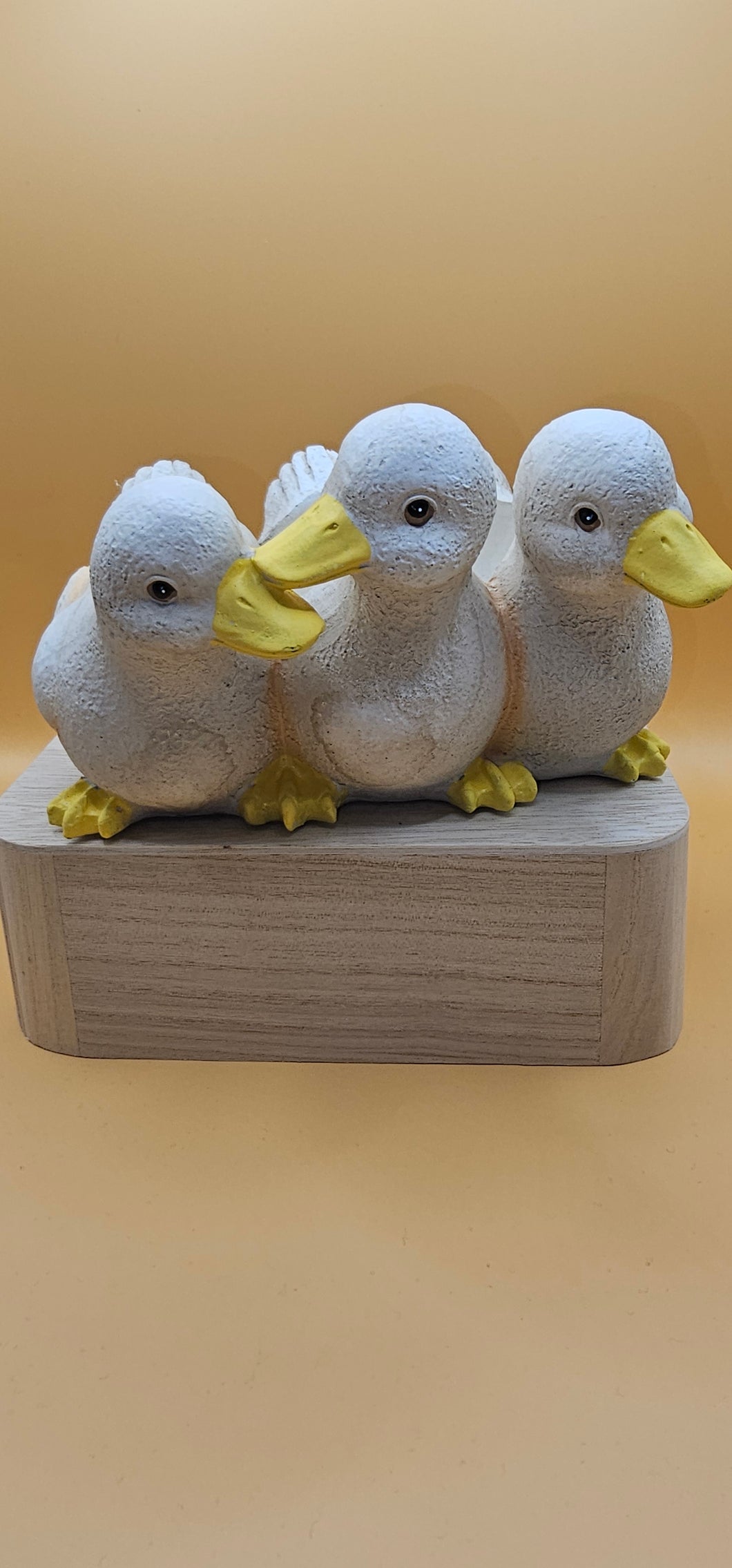 Duck Trio Planter 17 x 10 cm