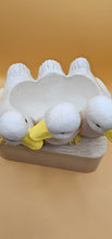 Load image into Gallery viewer, Duck Trio Planter 17 x 10 cm
