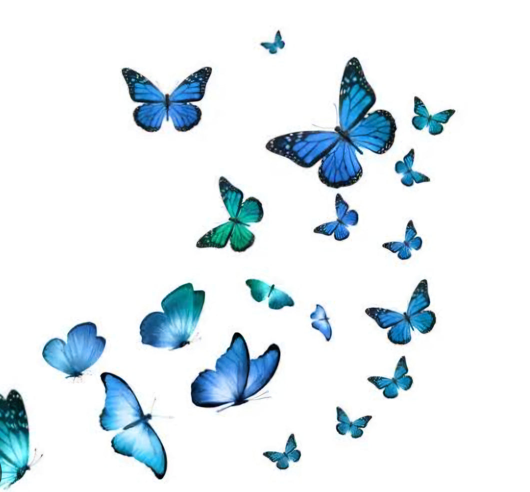 Butterfly themed bag