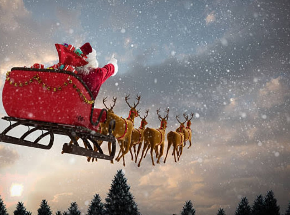 Reindeer themed pack