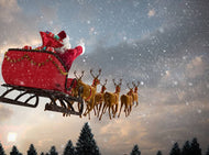 Reindeer themed pack