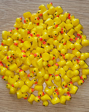 Load image into Gallery viewer, Duck Scoops
