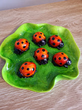Load image into Gallery viewer, Lady Bugs
