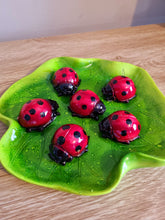 Load image into Gallery viewer, Lady Bugs
